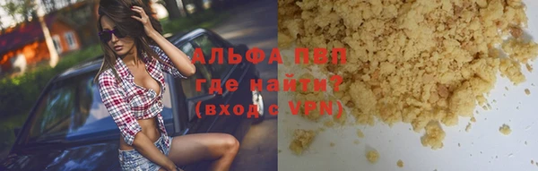 ECSTASY Калининец