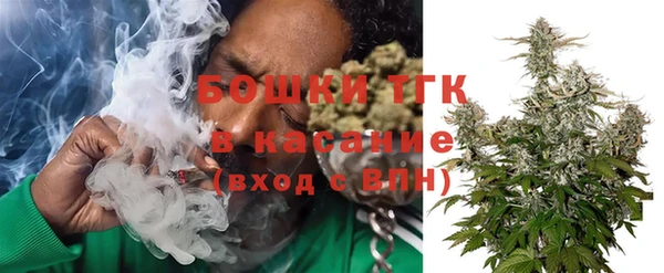 ECSTASY Калининец