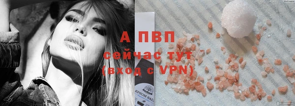 ПСИЛОЦИБИНОВЫЕ ГРИБЫ Александровское