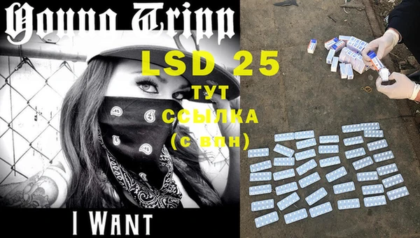ECSTASY Калининец