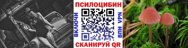 Галлюциногенные грибы Psilocybine cubensis  KRAKEN ссылки  Дубна  купить  цена 