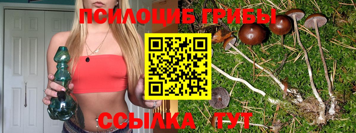 Псилоцибиновые грибы MAGIC MUSHROOMS Дубна