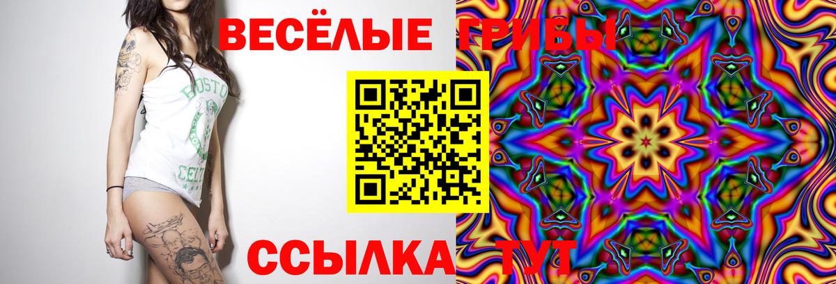 Меф МЯУ МЯУ кристаллы  Вейп ТГК  Меф МЯУ МЯУ   Метадон  A PVP СК   МАРИХУАНА  ГАШИШ  Cocaine  Дубна  Метамфетамин 