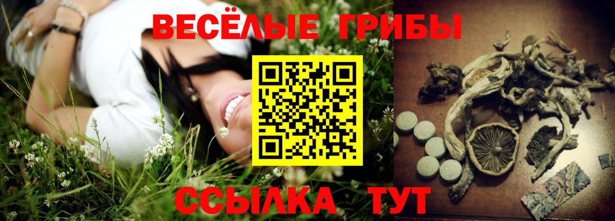 Галлюциногенные грибы Psilocybe  Вход с VPN  Дубна 