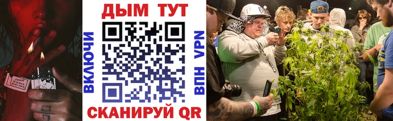 Конопля гибрид  Дубна 